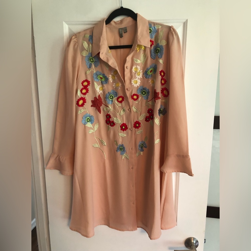 Asos embroidered shirt dress